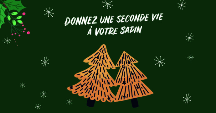 Collecte et broyage des sapins